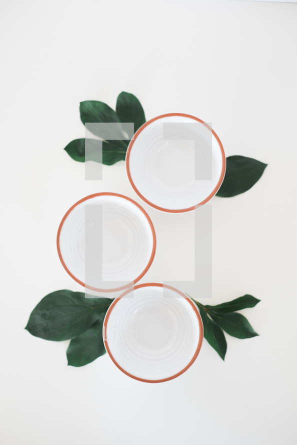 three plates on green leaves 