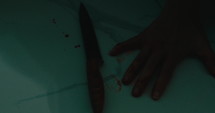 One person's hands were covered in blood and he dropped the knife