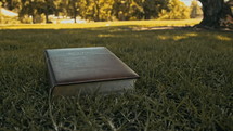 Bible lying in the grass