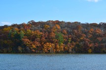 Fall trees on hill next to water
