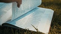 Bible lying in the grass