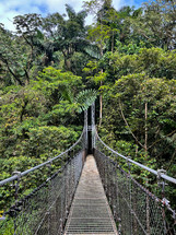 Monteverde Cloud Forest Reserve, hanging, suspended bridge, treetop canopy views, Costa Rica.