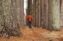 a man walking in a forest 