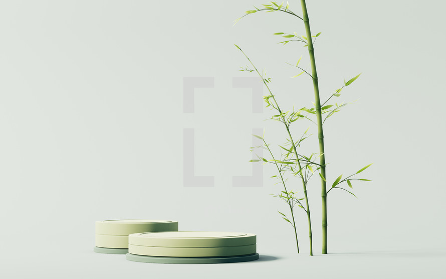 Green natural bamboo plant and product stage, 3d rendering.