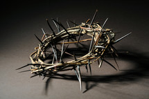 crown of thorns 