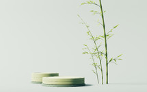 Green natural bamboo plant and product stage, 3d rendering.