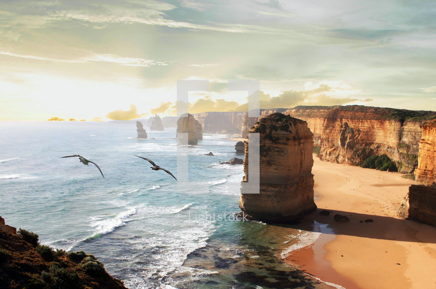 seagulls flying over the 12 Apostles beach at sunrise  along the shore line in Australia. 