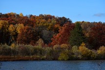 Fall trees next to lake