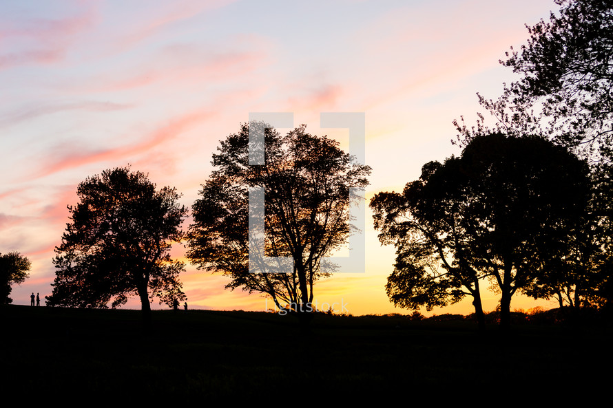 Silhouette of trees on hilltop at sunset