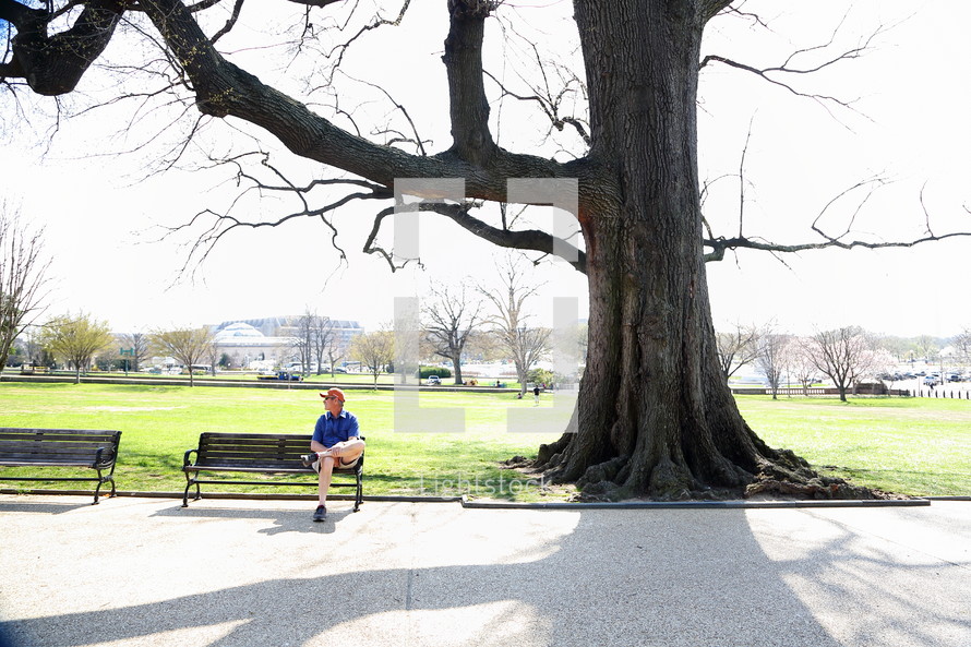 a man sitting on a park bench under a tree