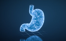 Stomach with blue technology structure, 3d rendering.