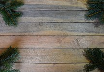 Border of Spruce branches on wooden background