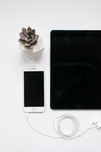 succulent plant, iPhone, iPad, and earbuds