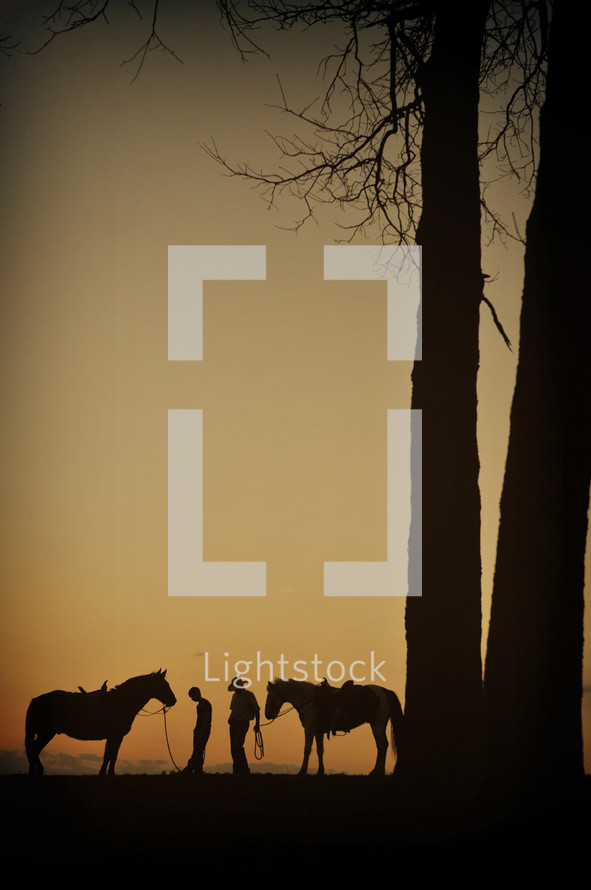 Horses under trees at sunset