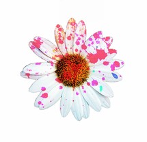 paint splatter on a daisy 