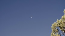 moon in a blue sky 