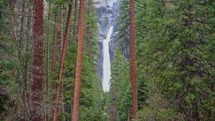 Yosemite Falls through trees 