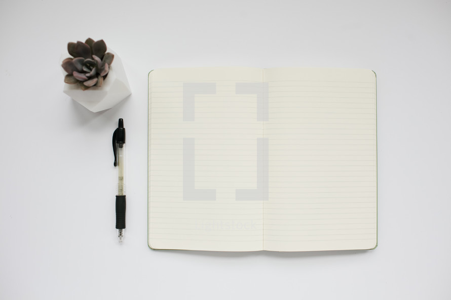 succulent plant, pen, and blank pages in a journal 