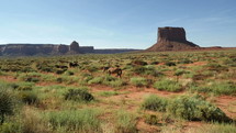 Horses graze in front of a towering butte in the American southwest
