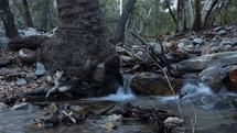 Tracking timelapse of silky water in a mountain stream