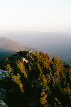 evergreen forest on a mountain peak 