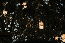 lanterns hanging in branches 