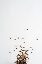 scattered coffee beans 