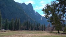 Yosemite Park Grassy Knoll