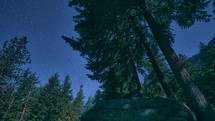 TIme lapse stars over trees and a rock
