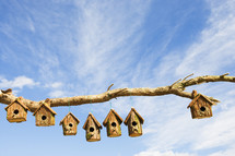 A row of wooden of bird boxes on a branch