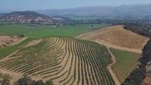 Aerial view of the beautiful wine country located in Northern California. 