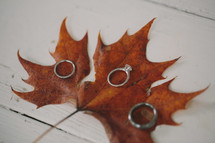 wedding bands on a fall leaf