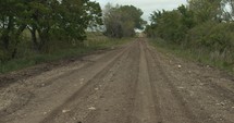 Unpaved dirt road surrounded by green trees on moody, grey, overcast, cloudy sky on summer afternoon in rural area.