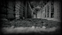 Extermination nazi camp in Poland. Retro footage. Cinestyle color profile