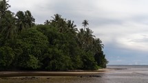 Coconut Trees at The Tropical Beach in Nias Island, North Sumatra, Indonesia - Time Lapse