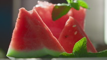 Close-up of watermelon slices on the table, decorated with sprigs of mint on which ice cubes falling in slow motion