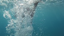 Leg training in the sea in Summer. Underwater shoot