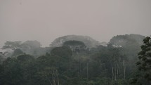 Amazon Rainforest On A Foggy Day In Ecuador. - wide static	