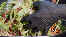 Green salad prepared in slow motion with carrots, leaves, lettuce and sprouts