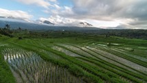 Bali, Indonesia : Time Lapse of Jatiluwih Rice Terraces Paddy Fields Subak System Dramatic Massive Scenic Green Landscape UNESCO World Heritage Site at Hill Side in Tabanan Village