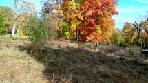 Drone footage through autumn trees