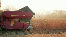 Wheat harvest. Wheat harvesting shears. Harvester machine harvesting golden ripe wheat field on an agricultural field at sunset in summer from close up. Agriculture food production. Industry concept.