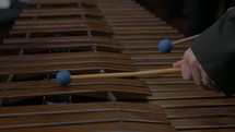 man playing a musical instrument, xylophone 