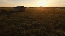Honey Brook Farm at sunrise 