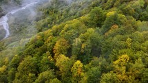 Aerial view of autumn mountain forest