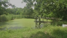 pond on a farm 
