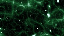Biology background with animated loop green lines