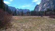 Grassy Knoll Yosemite Valley