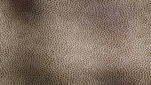 Rippling Animal Skin Texture. 3D Abstract.	