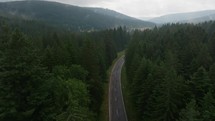 Aerial footage of road surrounded by trees on a cloudy day